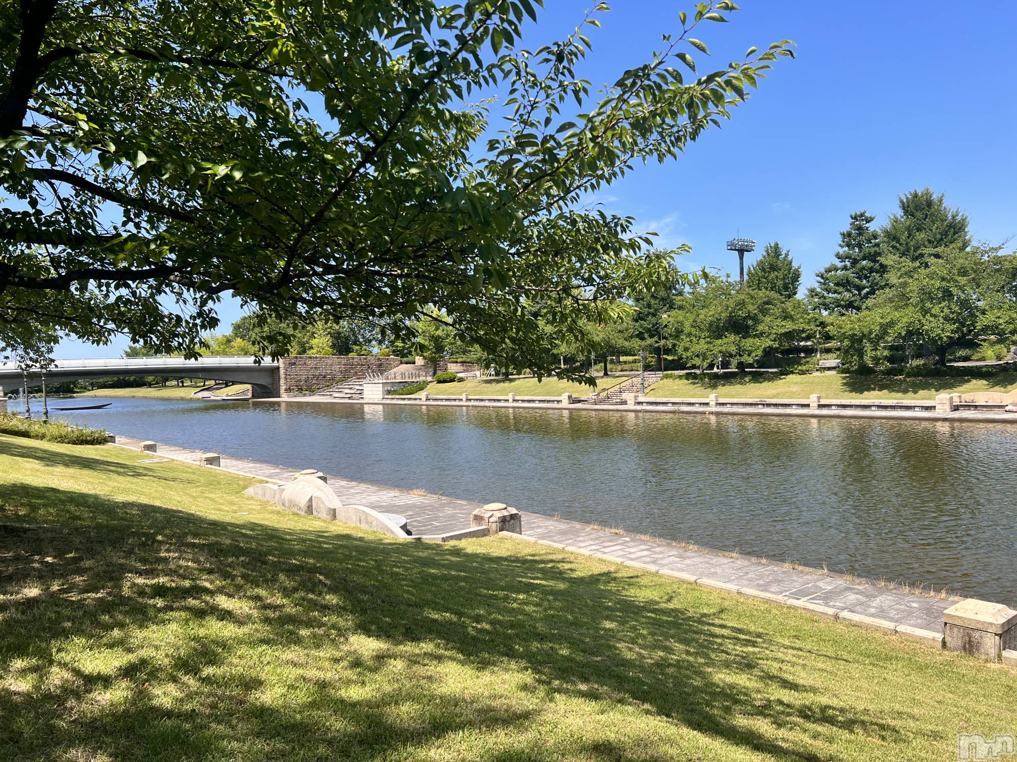 新潟手コキ新潟ゆったりプラス(お話し+デリ)(ユッタリプラス)このみ(25)の2022年7月10日写メブログ「忘れてたわけではないです」