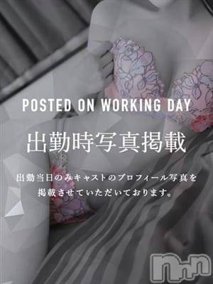 綾乃しおり