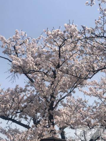 新潟人妻デリヘル新潟人妻　2nd Wife(セカンドワイフ)のん奥様(30)の2024年4月29日写メブログ「はじめの時」