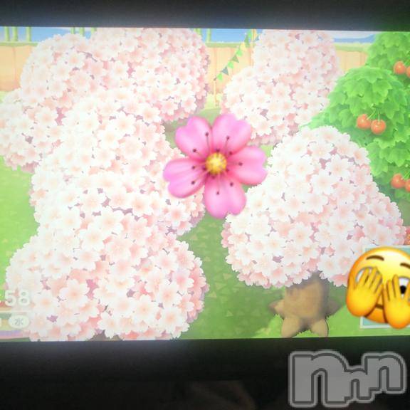 新潟デリヘル新潟人妻　2nd Wife(セカンドワイフ)のん奥様(30)の2026年4月3日写メブログ「マン開🌸」