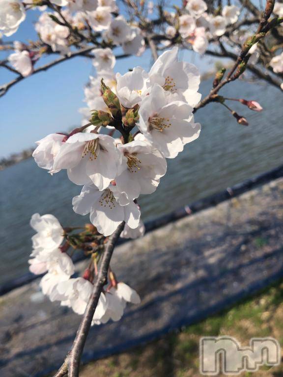 新潟デリヘル新潟人妻　2nd Wife(セカンドワイフ)のん奥様(30)の2026年4月13日写メブログ「早いなあ～🥲」