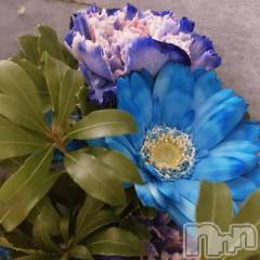 新潟デリヘル新潟人妻　2nd Wife(セカンドワイフ) のん奥様(30)の2月25日写メブログ「まさかのビックリ👀💐💙」