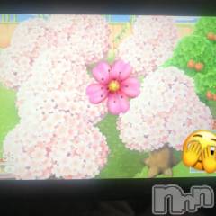 新潟デリヘル新潟人妻　2nd Wife(セカンドワイフ) のん奥様(30)の4月3日写メブログ「マン開🌸」