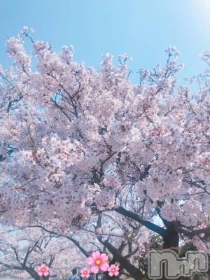 新潟デリヘル 新潟人妻　2nd Wife(セカンドワイフ) のん奥様(30)の4月2日写メブログ「[お題]from:宴会部長さん」