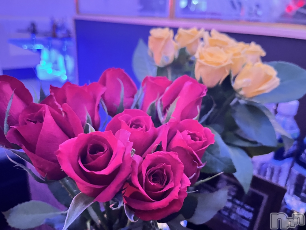 ˬХ顦֥ ץ ˬ( ץ ) 2023ǯ919̥֥֤🌼