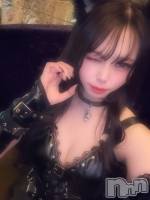 ܱХ顦() ޤ114̥֥֥ϥ🎃🦇🕸