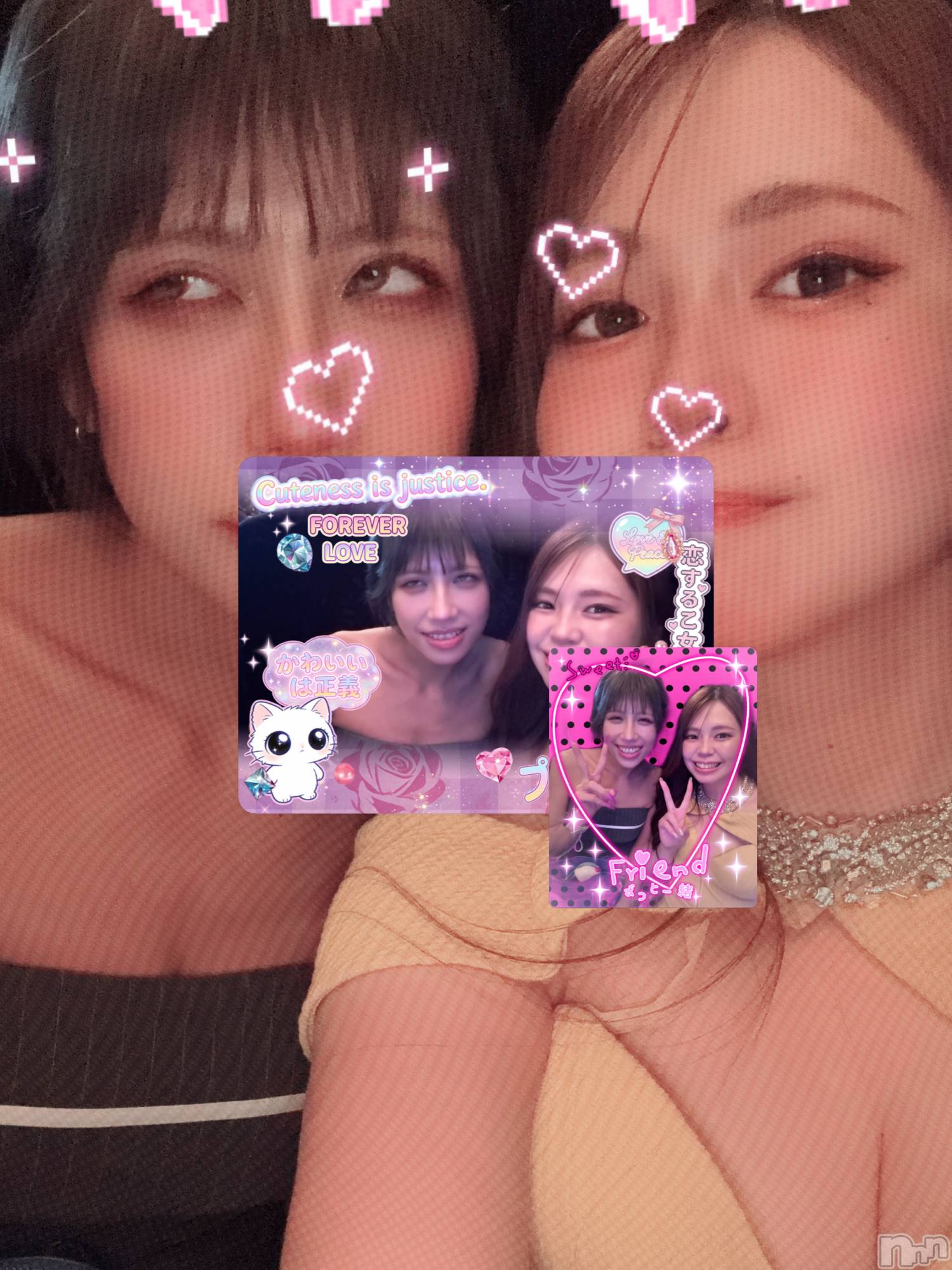 ���ܱ�������Х��顦���������(�����) ��2026ǯ10��1���̥�֥�����10���