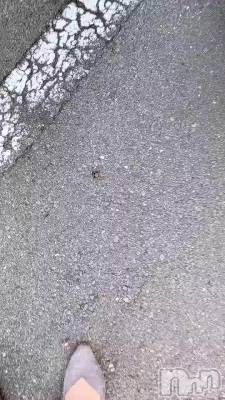 🐝⋆