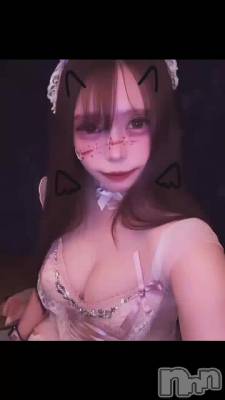 118 2029ʬư