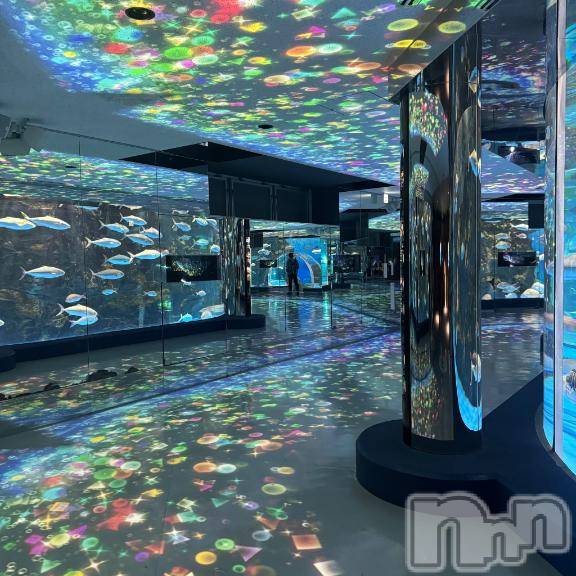 新潟ソープ新潟バニーコレクション(ニイガタバニーコレクション)ジュンナ(22)の2026年5月27日写メブログ「生活🐟」