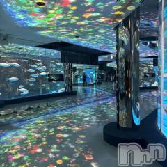 新潟ソープ新潟バニーコレクション(ニイガタバニーコレクション) ジュンナ(22)の5月27日写メブログ「生活🐟」