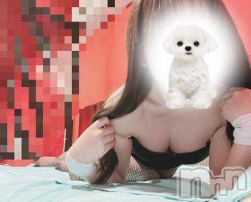 新潟ソープ 新潟バニーコレクション(ニイガタバニーコレクション) ジュンナ(22)の4月26日写メブログ「おはです🐰」