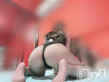 新潟ソープ 新潟バニーコレクション(ニイガタバニーコレクション) ジュンナ(22)の5月14日写メブログ「出勤します♡」