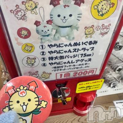 新潟ソープ 新潟バニーコレクション(ニイガタバニーコレクション) ジュンナ(22)の3月26日写メブログ「また明日(*´︶`*)ﾉ」