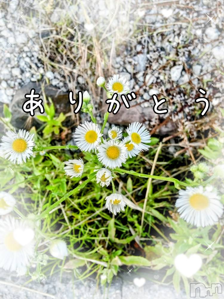 上田発人妻デリヘル人妻華道 上田店(ヒトヅマハナミチウエダテン) 【熟女】あきこ(56)の6月16日写メブログ「ありがとう。」