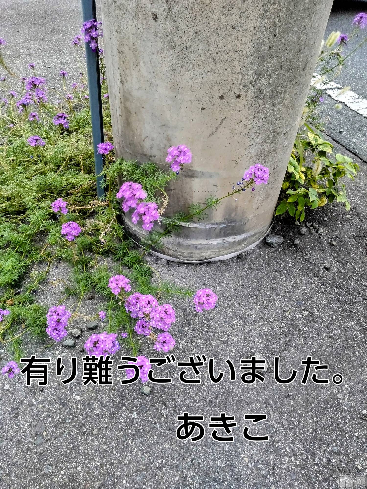 上田発人妻デリヘル人妻華道 上田店(ヒトヅマハナミチウエダテン)【熟女】あきこ(56)の2023年9月11日写メブログ「書き忘れました(^^;」