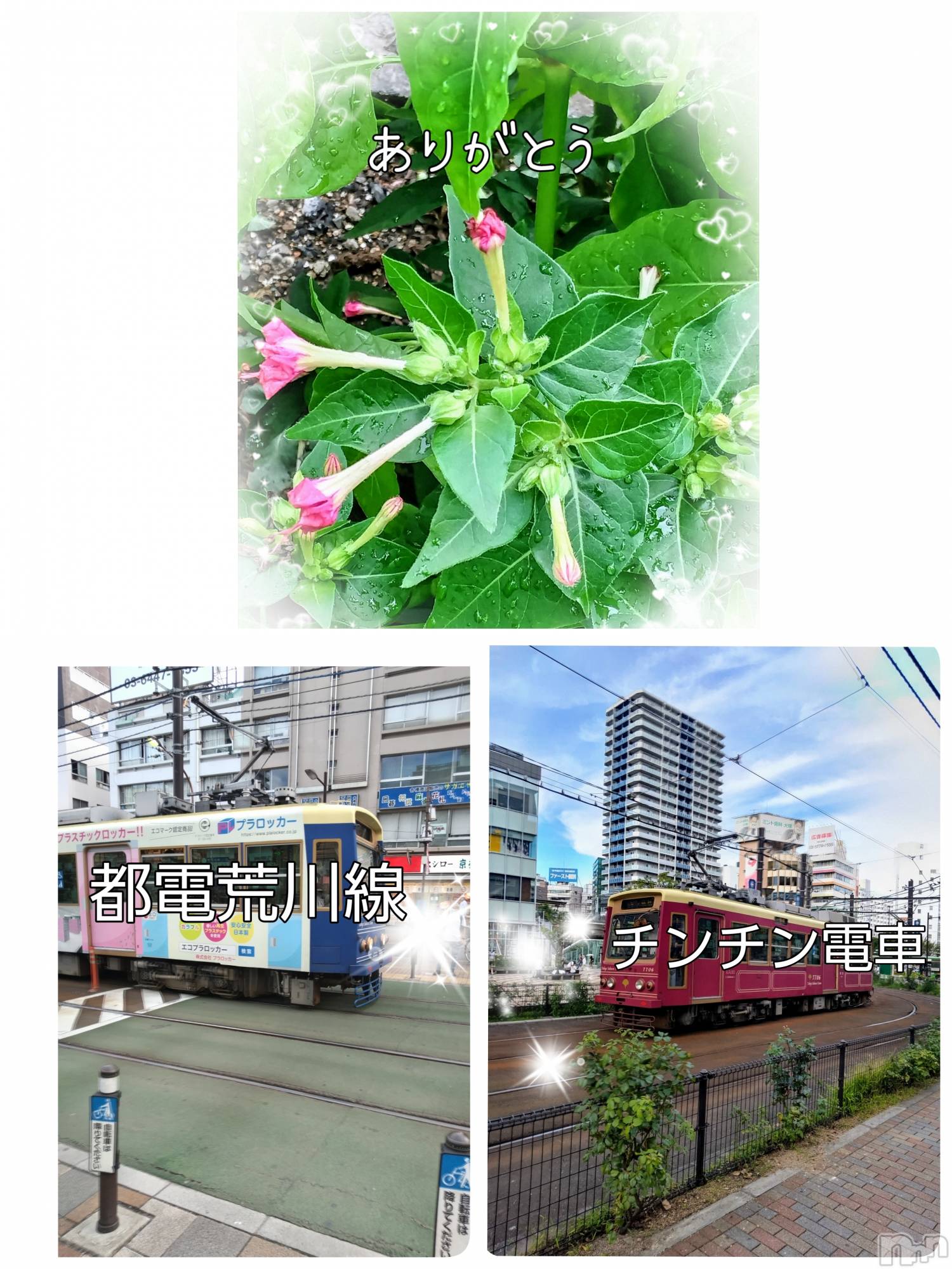 上田発人妻デリヘル人妻華道 上田店(ヒトヅマハナミチウエダテン)【熟女】あきこ(56)の2024年8月26日写メブログ「今回の出勤。」