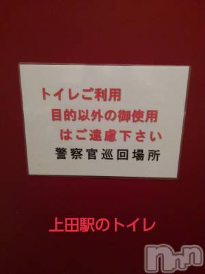上田発デリヘル 人妻華道 上田店(ヒトヅマハナミチウエダテン) 【熟女】あきこ(57)の3月29日写メブログ「なんとも？(^_^ゞ」