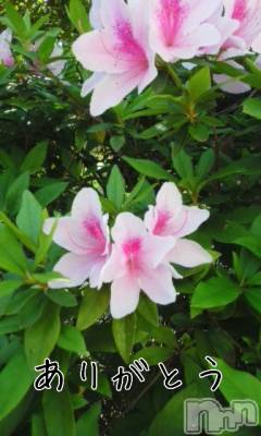 上田発デリヘル 人妻華道 上田店(ヒトヅマハナミチウエダテン) 【熟女】あきこ(57)の6月28日写メブログ「前回の………」