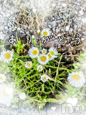 上田発人妻デリヘル 人妻華道 上田店(ヒトヅマハナミチウエダテン) 【熟女】あきこ(56)の6月16日写メブログ「ありがとう。」