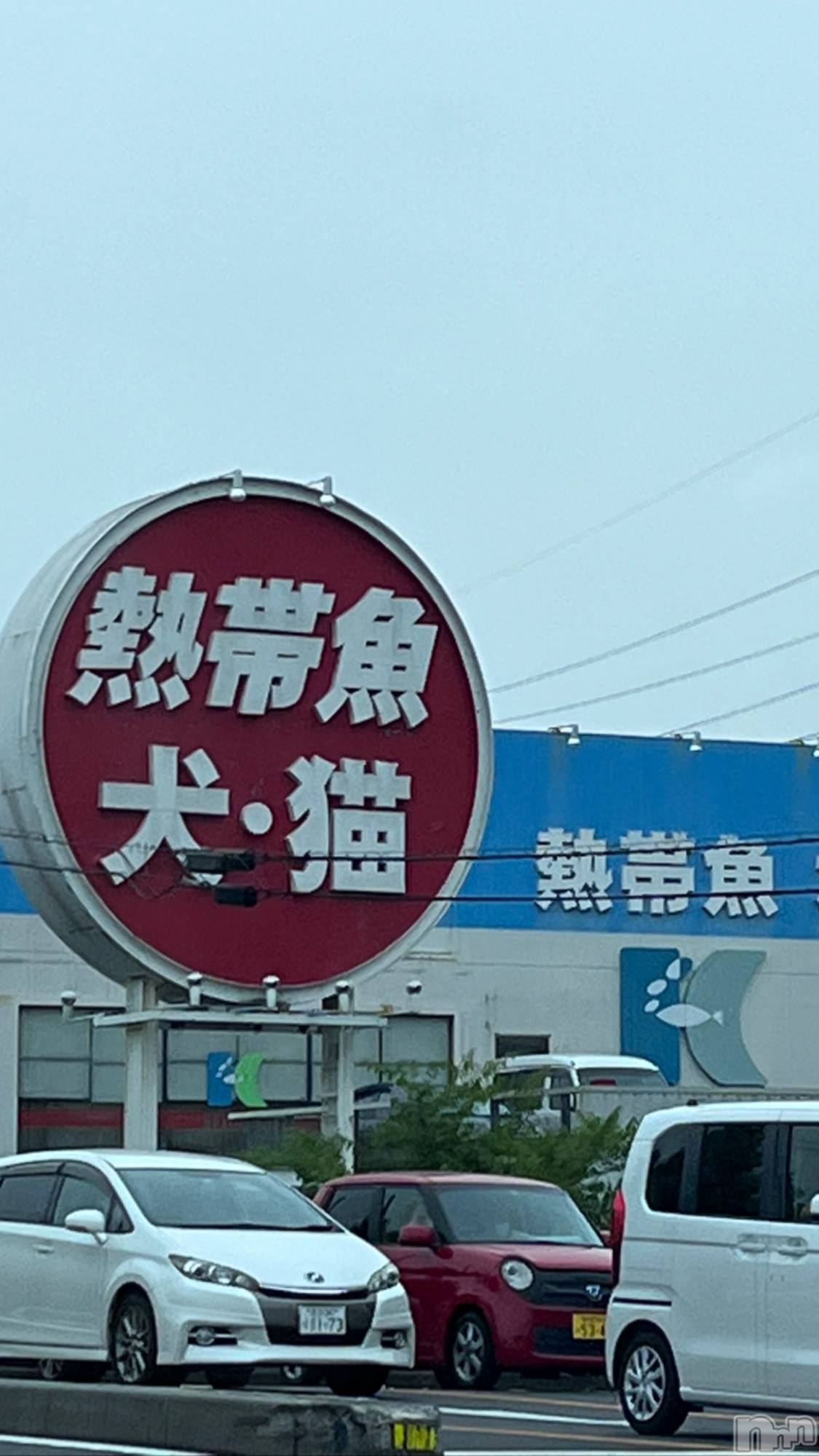 Įʥå륺СL'asile(饸) 2022ǯ77̥֥֤Ρ