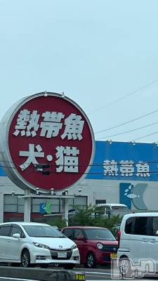 Įʥå륺СL'asile(饸) դ(21)77̥֥֤Ρ