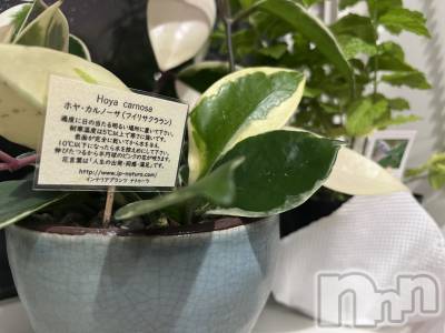 Įʥå륺СL'asile(饸) դ(21)728ֲ̥֥²ˤʤ٣ϡ