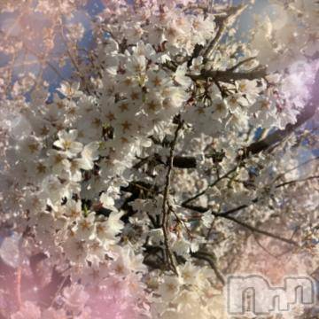 伊那デリヘル ピーチガール えま(24)の4月11日写メブログ「桜を見に🌸」