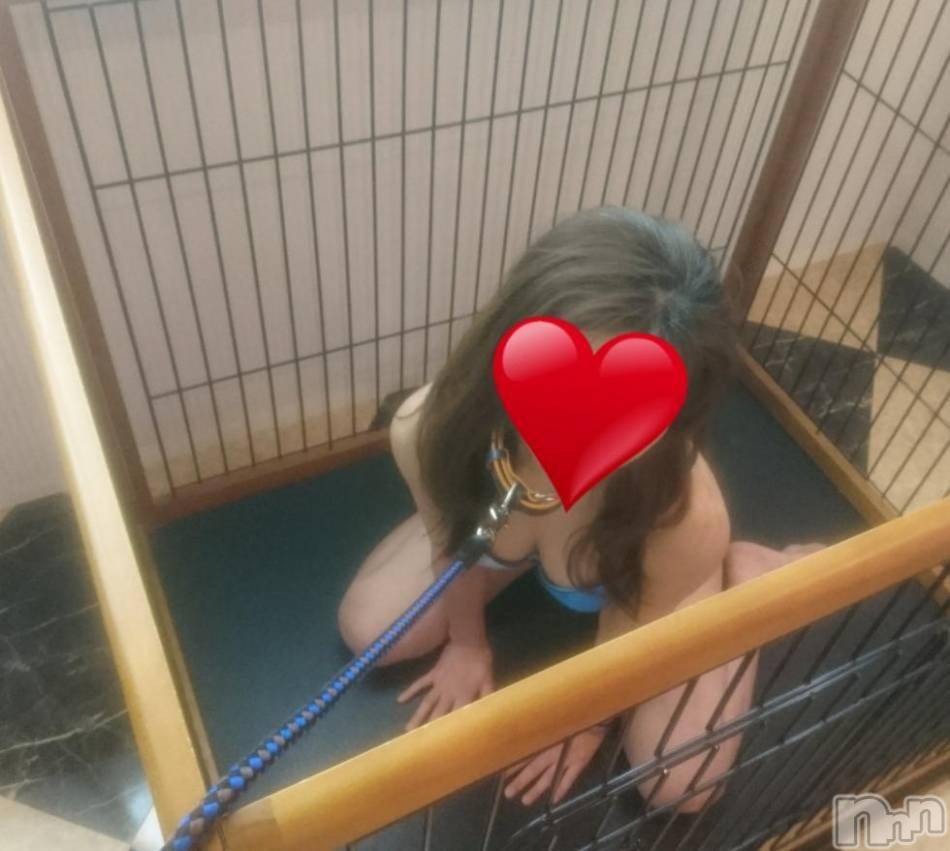 三条デリヘル(ヒトヅマジュンチャン)の2017年4月5日お店速報「朝から一発どうですか？？」