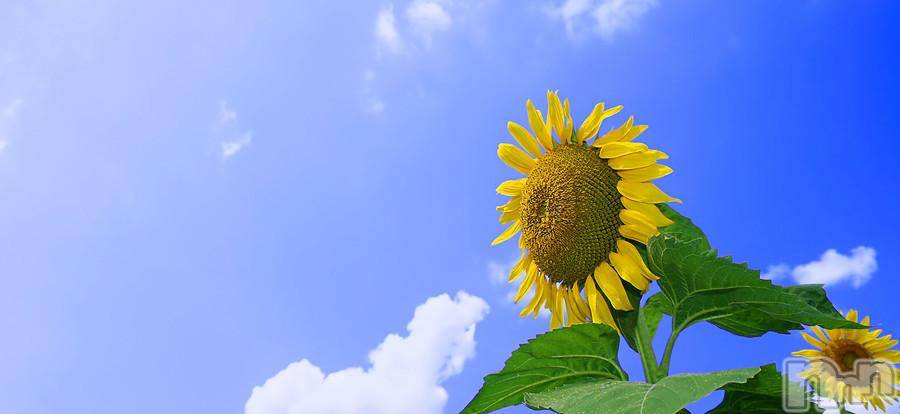 三条デリヘル(ヒトヅマジュンチャン)の2017年8月15日お店速報「「夏の思い出」作りませんか？」