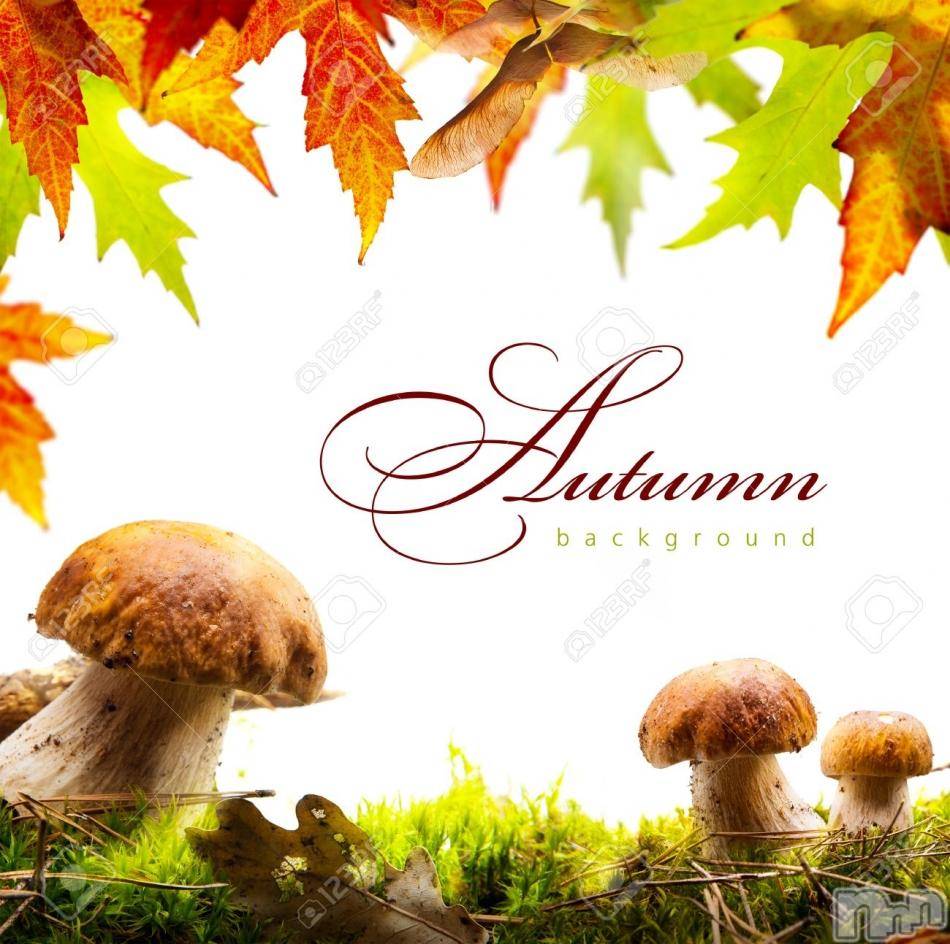 三条デリヘル(ヒトヅマジュンチャン)の2018年10月25日お店速報「リアル不倫しちゃいます？？」