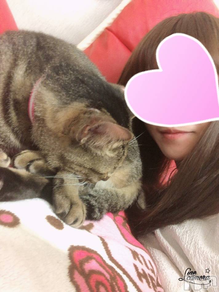 三条デリヘル(ヒトヅマジュンチャン)の2020年10月5日お店速報「色んなタイプの奥様集結です」