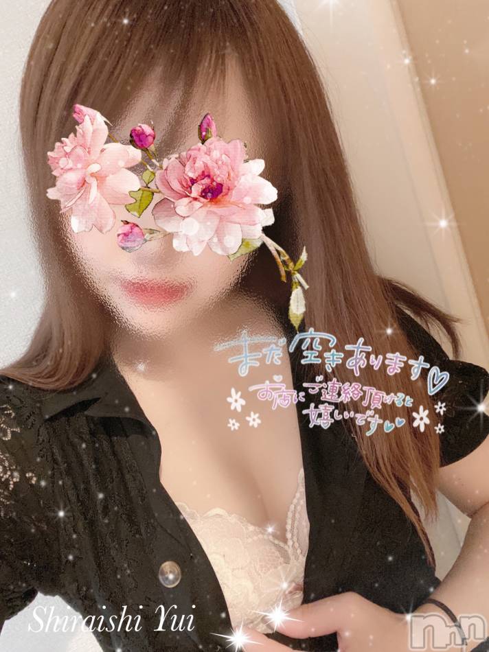 三条デリヘル(ヒトヅマジュンチャン)の2023年8月16日お店速報「お久しぶりの出勤”白石ゆい”に癒されちゃいましょう」