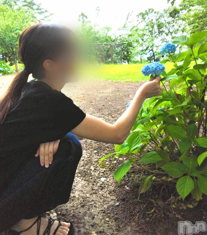 三条デリヘル(ヒトヅマジュンチャン)の2024年7月2日お店速報「本日美人奥様勢ぞろい✨✨」