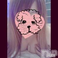 三条デリヘル 人妻じゅんちゃん-出稼ぎ0！地元の奥様専門-(ヒトヅマジュンチャン)の12月29日お店速報「今年もあと2日！！」