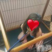 三条デリヘル 人妻じゅんちゃん-出稼ぎ0！地元の奥様専門-(ヒトヅマジュンチャン)の4月5日お店速報「朝から一発どうですか？？」