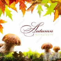 三条デリヘル 人妻じゅんちゃん-出稼ぎ0！地元の奥様専門-(ヒトヅマジュンチャン)の10月15日お店速報「奥様と遊びましょ」