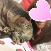 三条デリヘル 人妻じゅんちゃん-出稼ぎ0！地元の奥様専門-(ヒトヅマジュンチャン)の10月5日お店速報「色んなタイプの奥様集結です」