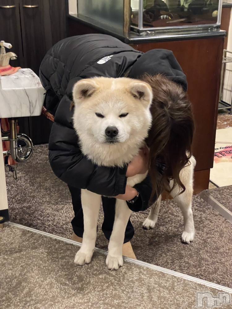 ��Į����Х��顦�����lounge  Remika(�饦�󥸥�ߥ�) �Τ���Ƥ�3��16���̥�֥����֥ɥå�����ԡ�🐶��