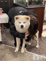 ��Į����Х��顦�����lounge  Remika(�饦�󥸥�ߥ�) �Τ���Ƥ�3��16���̥�֥����֥ɥå�����ԡ�🐶��