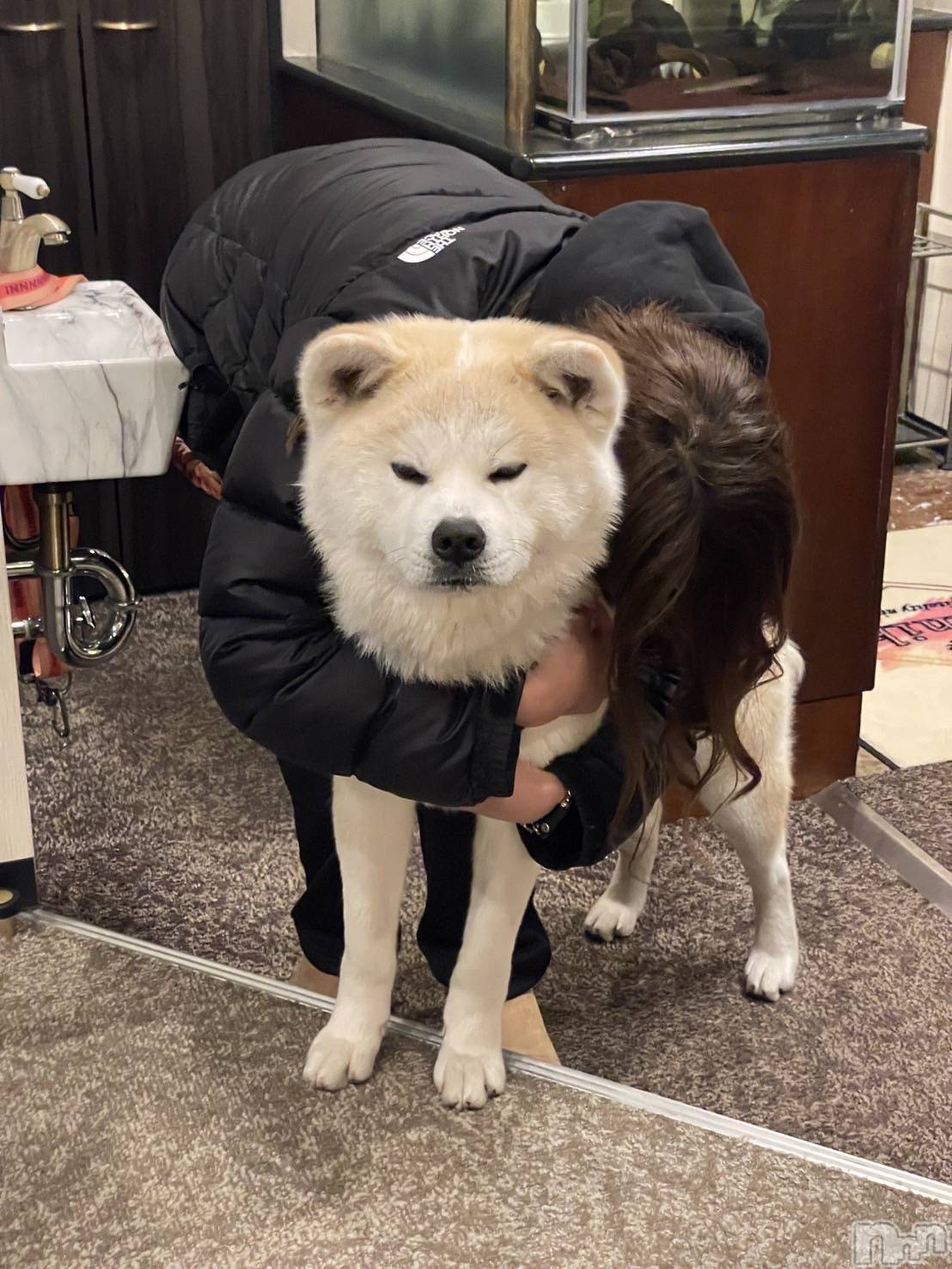 ��Į����Х��顦�����lounge  Remika(�饦�󥸥�ߥ�) ��2026ǯ3��16���̥�֥����֥ɥå�����ԡ�🐶��