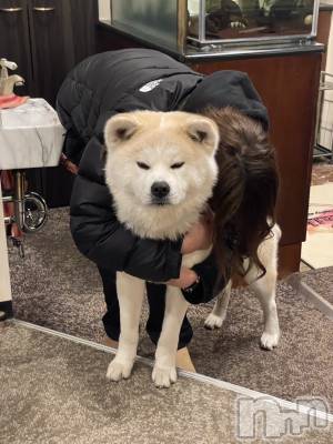 ��Į����Х��顦�����lounge  Remika(�饦�󥸥�ߥ�) �Τ���Ƥ�3��16���̥�֥����֥ɥå�����ԡ�🐶��