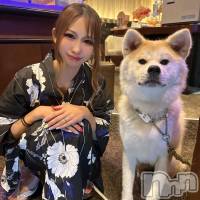 のあんて さんのプロフィール画像