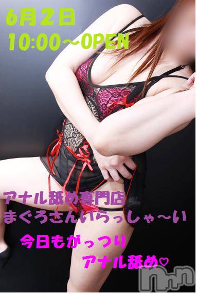 三条デリヘル(マグロサンイラッシャ～イ)の2016年6月2日お店速報「2日は早番三銃士出勤♪」