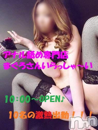 三条デリヘル(マグロサンイラッシャ～イ)の2016年6月7日お店速報「6月7日の出勤情報！！！」