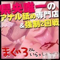 三条デリヘル(マグロサンイラッシャ～イ)の2016年9月22日お店速報「今夜のまぐろは贅沢です。。。」