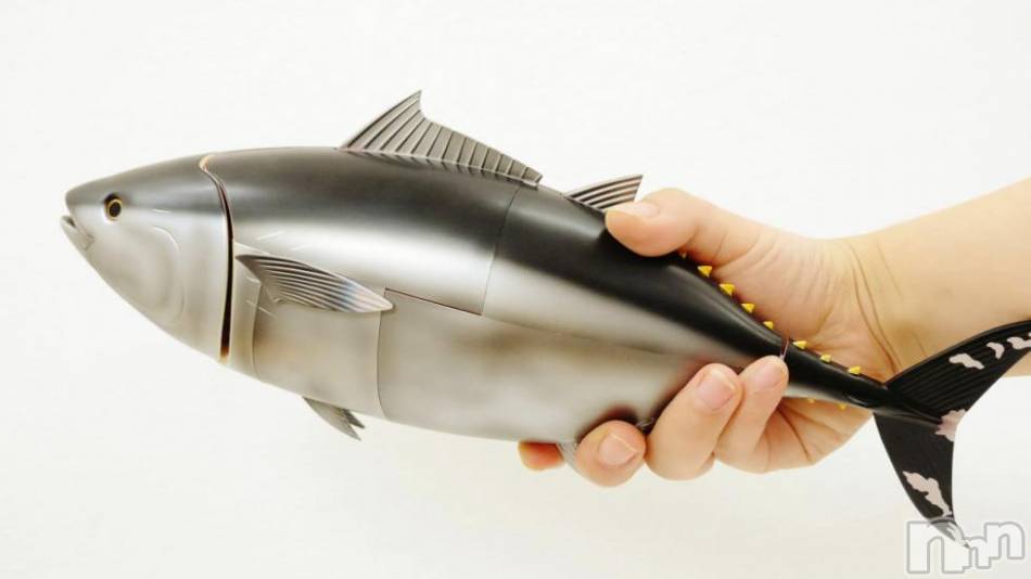 三条デリヘル(マグロサンイラッシャ～イ)の2016年11月3日お店速報「＼まぐろさ～ん／」