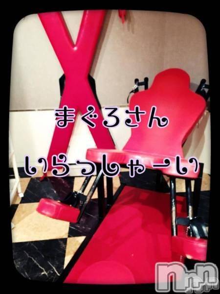 三条デリヘル(マグロサンイラッシャ～イ)の2016年11月3日お店速報「～ノーマル店では味わえない快楽を～」