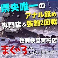 三条デリヘル(マグロサンイラッシャ～イ)の2017年2月11日お店速報「2月11日 21時41分のお店速報」