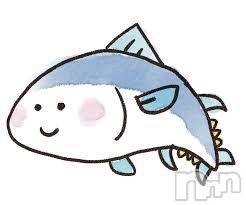 三条デリヘル(マグロサンイラッシャ～イ)の2017年10月1日お店速報「まぐろの時代」